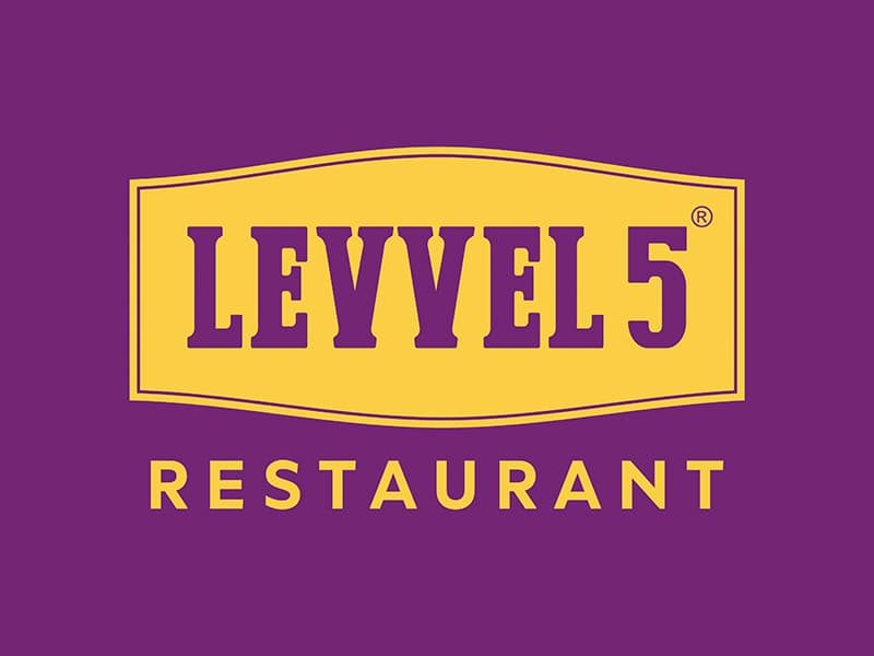 LEVVEL 5
